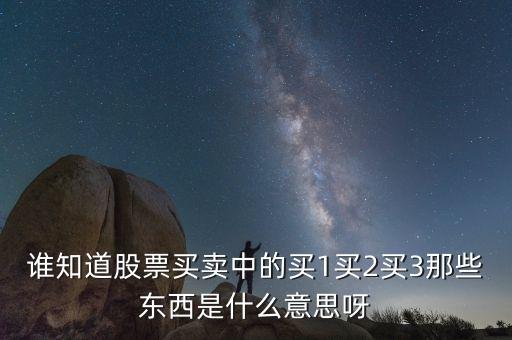 誰知道股票買賣中的買1買2買3那些東西是什么意思呀