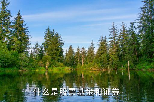 什么是股票基金和證券