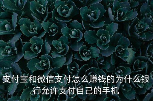 銀行為什么接受支付寶，就是卡里面本來就沒錢然后我從里面充值到支付寶里面為什么還會接