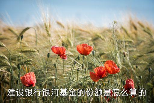 建設(shè)銀行銀河基金的份額是怎么算的