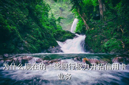 為什么要不停開信用卡，為什么現(xiàn)在的一些銀行極力開拓信用卡業(yè)務(wù)