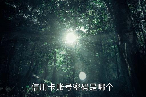 信用卡賬號(hào)密碼是哪個(gè)