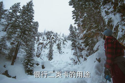 銀行二類卡的用途