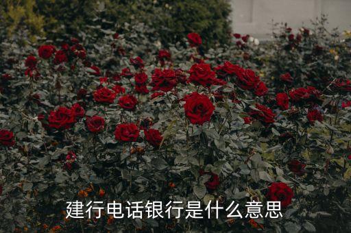 建行電話銀行是什么意思