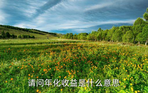 年化收益和收益什么意思，年化收益率是什么意思