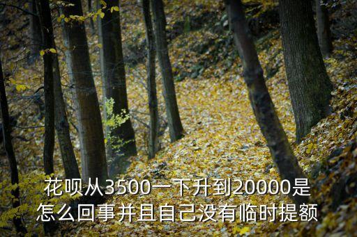 花唄從3500一下升到20000是怎么回事并且自己沒有臨時(shí)提額