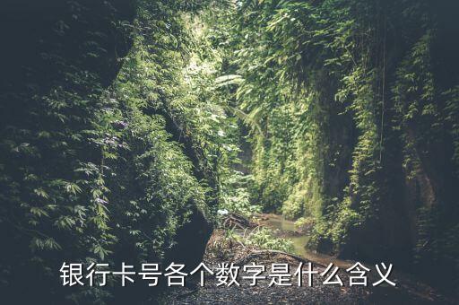 銀行卡號各個數(shù)字是什么含義