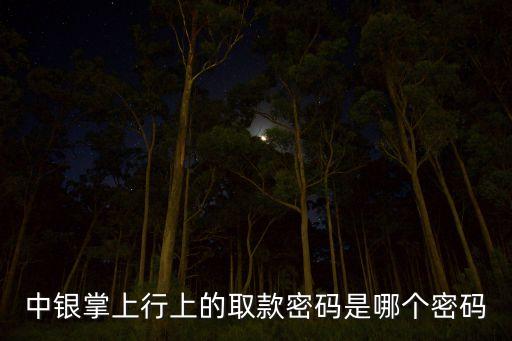 中銀掌上行上的取款密碼是哪個密碼