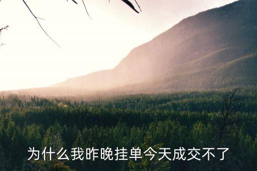 為什么掛單成交不了，為什么我提前掛單的股票沒有成交呢