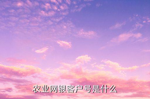 農(nóng)行用戶編號是什么，農(nóng)業(yè)網(wǎng)銀客戶號是什么