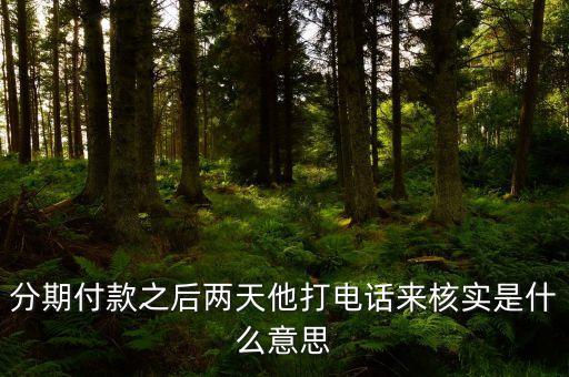 分期付款之后兩天他打電話來核實是什么意思