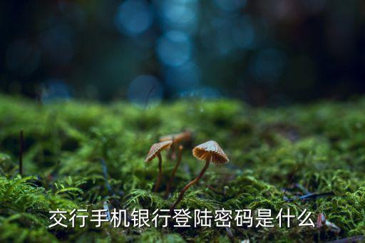 交行登錄密碼是什么意思，交行手機(jī)銀行登陸密碼是什么
