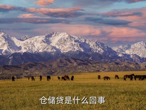 倉(cāng)儲(chǔ)貸改成什么平臺(tái)了，網(wǎng)上的倉(cāng)儲(chǔ)貸可以用嗎