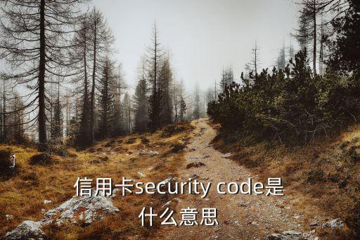 信用卡security code是什么意思