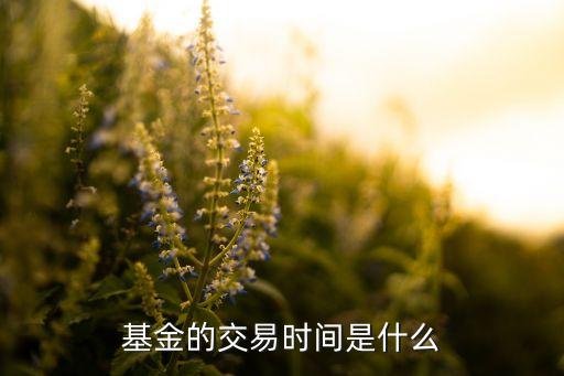 基金的交易時間是什么