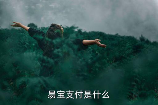 江西易寶支付是什么意思，易寶支付是什么