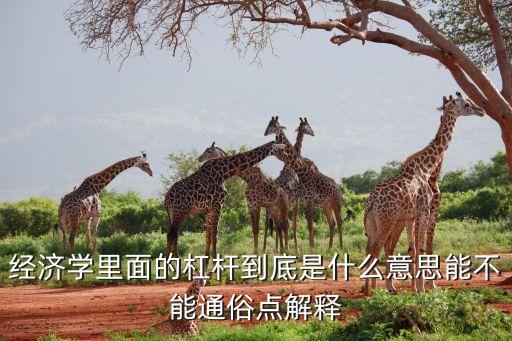 經(jīng)濟(jì)學(xué)里面的杠桿到底是什么意思能不能通俗點(diǎn)解釋