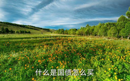 什么是國(guó)債怎么買