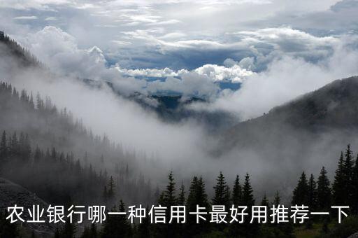 農(nóng)業(yè)辦什么信用卡好，去農(nóng)業(yè)銀行辦什么信用卡好