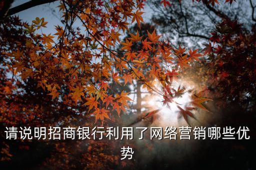 請(qǐng)說明招商銀行利用了網(wǎng)絡(luò)營(yíng)銷哪些優(yōu)勢(shì)