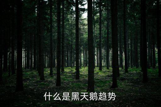 黑天鵝頻發(fā)是什么意思，什么是黑天鵝現(xiàn)象
