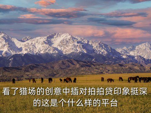 看了獵場(chǎng)的創(chuàng)意中插對(duì)拍拍貸印象挺深的這是個(gè)什么樣的平臺(tái)