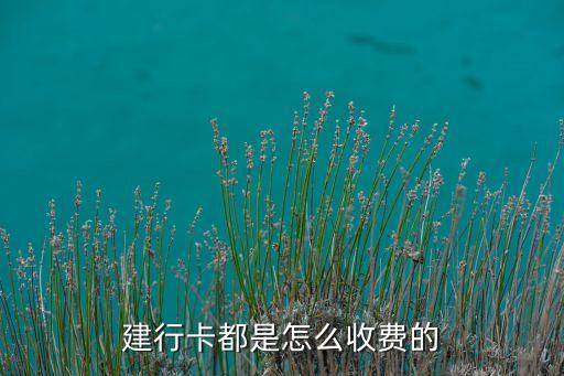 建行卡都是怎么收費(fèi)的