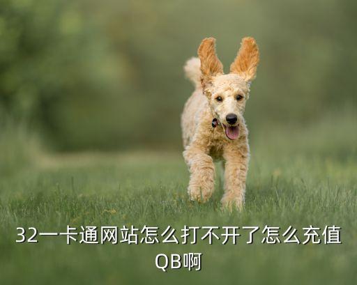 32卡為什么充值失敗，32卡充值不到帳