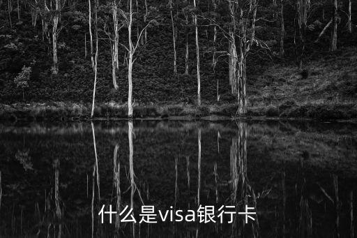 vlsa工商銀行什么卡，工商銀行的visa卡是信用卡還是借記卡