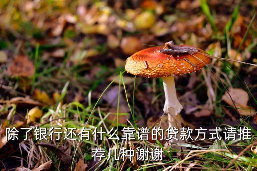 除了銀行還有什么靠譜的貸款方式請(qǐng)推薦幾種謝謝