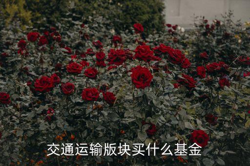 交通運(yùn)輸版塊買什么基金