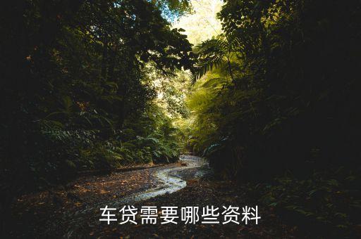 車貸的貸前審核查什么資料，辦理車貸需要審核哪些證件