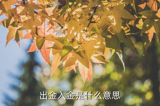 什么是出金和入金，出金入金是什么意思