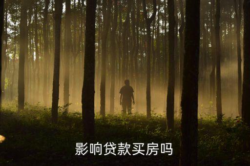 影響貸款買房嗎