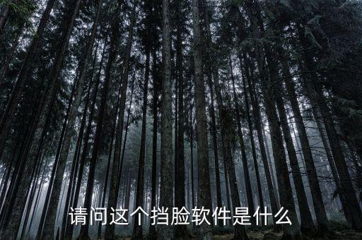 請問這個擋臉軟件是什么