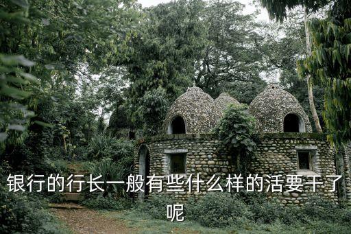 銀行的行長一般有些什么樣的活要干了呢