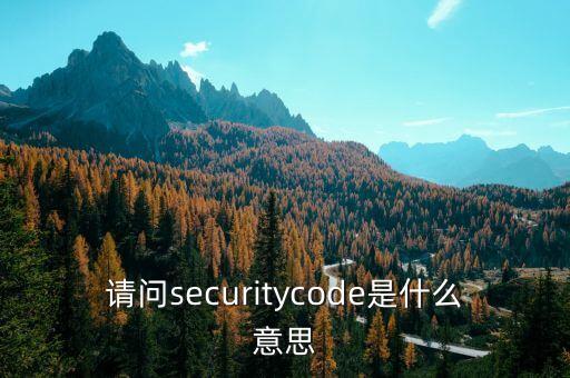 信用卡激活安全碼是什么意思啊，信用卡security code是什么意思