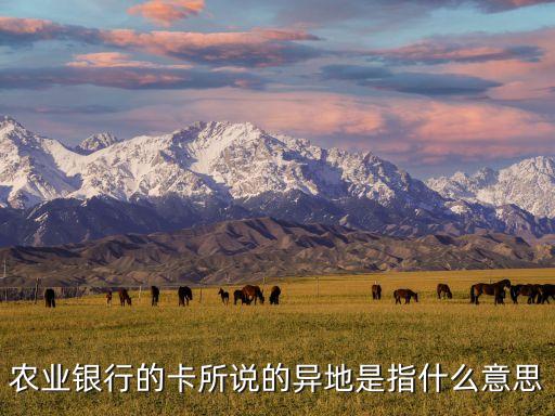 農(nóng)業(yè)銀行的卡所說(shuō)的異地是指什么意思