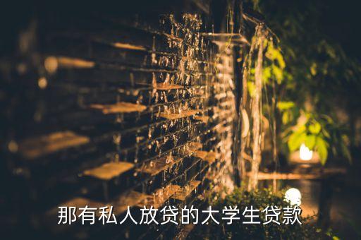 那有私人放貸的大學生貸款