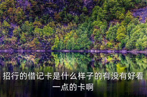 招行的借記卡是什么樣子的有沒有好看一點的卡啊
