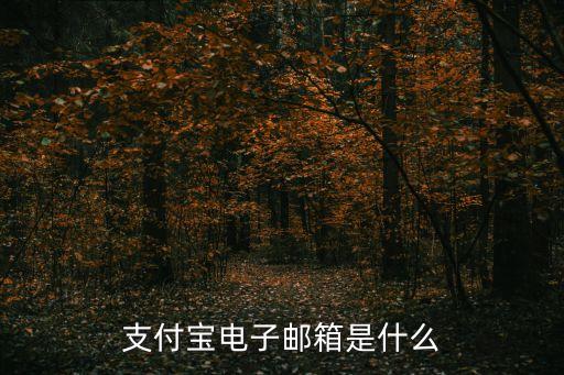 支付寶電子郵箱是什么