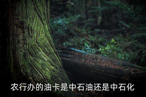 農(nóng)行辦的油卡是中石油還是中石化