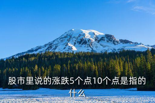 股票五個點是什么意思是什么意思呢，股市中的上漲5個點是什么意思