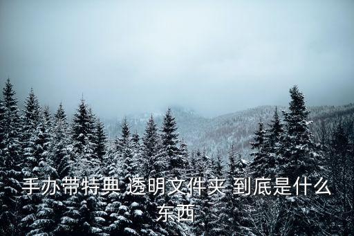 手辦帶特典 透明文件夾 到底是什么東西