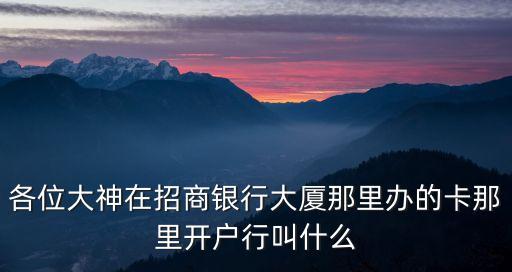各位大神在招商銀行大廈那里辦的卡那里開(kāi)戶行叫什么