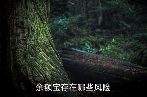 余額寶會(huì)有什么風(fēng)險(xiǎn)嗎，余額寶存在哪些風(fēng)險(xiǎn)