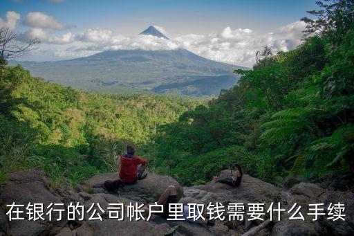 公戶提現(xiàn)需要帶什么手續(xù)費(fèi)，在銀行的公司帳戶里取錢需要什么手續(xù)