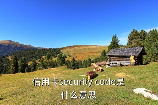 信用卡security code是什么意思