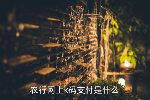 農(nóng)行網(wǎng)上k碼支付是什么