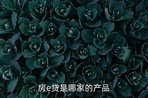 房e貸是哪家的產(chǎn)品